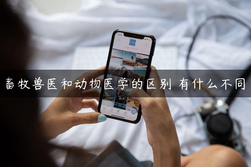 畜牧兽医和动物医学的区别 有什么不同