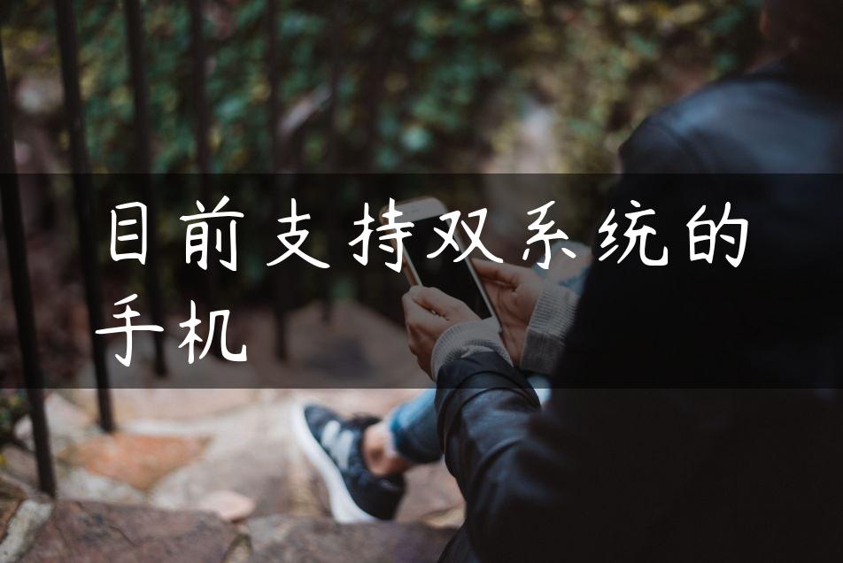 目前支持双系统的手机