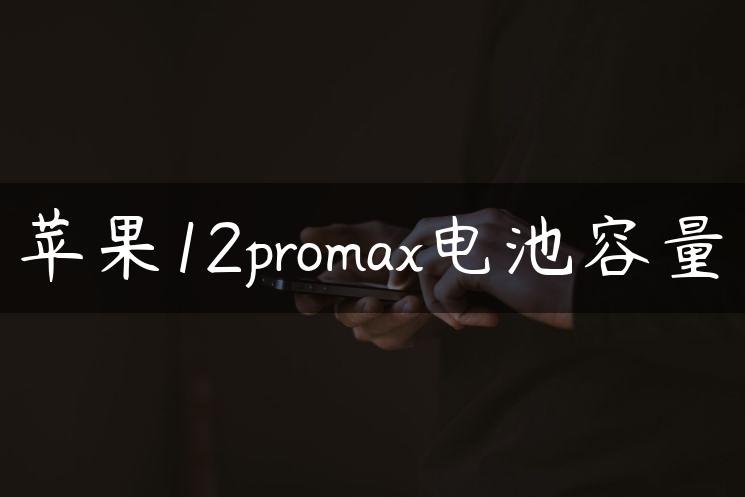 苹果12promax电池容量